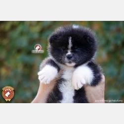 3845c7_0bc2cc28de8849df900c424a65480a1emv2