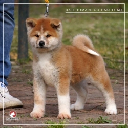 3845c7_13e4337e61aa4192ba25292405f84744mv2