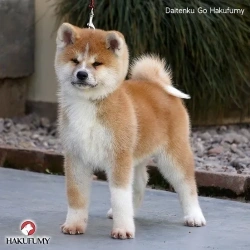 3845c7_205e77192f724fbabd9f864aa365f151mv2