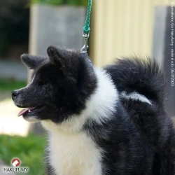 3845c7_312cefb9a5954788bc9f1281d0e018a6mv2