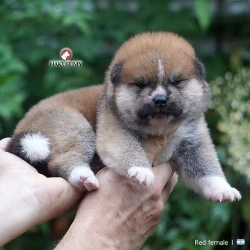 3845c7_3fecdb92a1734ff793e31eaefac154a4mv2