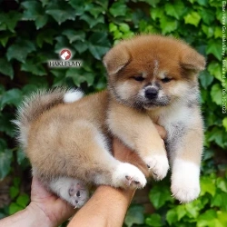 3845c7_59feaaaeba514083ac0023c02f7c66f4mv2