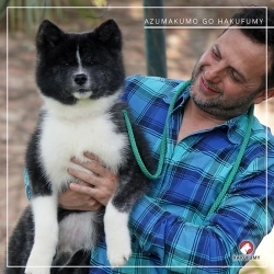 3845c7_64359189086a47f496b3f76094025681mv2_2089159935