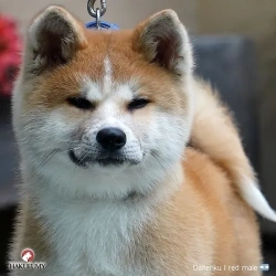 3845c7_760417125b61426aa83863fd49d6bf9cmv2