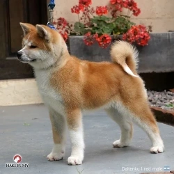 3845c7_813f17d6e41a44818adcec5ac44c97d0mv2