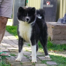 3845c7_bafb1a185293482191935ad9b124a383mv2