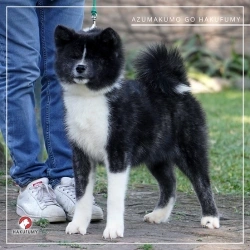 3845c7_c80e5d7db28d476cb909927bb768dd35mv2