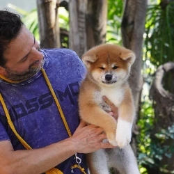 3845c7_dd3b25dfe14b435085600e80de0b7a4emv2