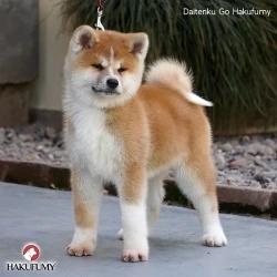 3845c7_dd7d6d78118c4f7e87ad0cb7bdfe4210mv2