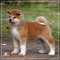 3845c7_f78eb943f49f42b8bdbbc54238421524mv2