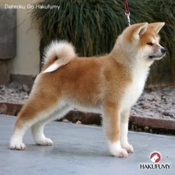 3845c7_f7a2b6c2e8174115bcee23205f3d4519mv2