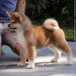 3845c7_fa224e6ba7e94e6883cb25385bf32025mv2